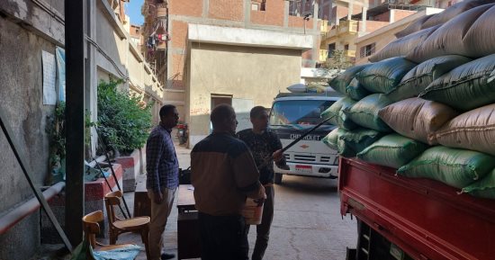 توريد 88581 طن قمح لـ22 موقعا فى كفر الشيخ