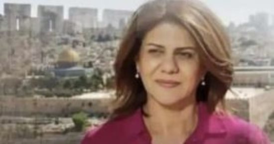 ذكرى رحيل شيرين أبو عاقلة الأولى.. نجوم جسدوا شخصية الصحفى فى الدراما 