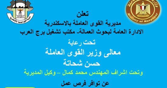 القوى العاملة تعلن عن فرص عمل للشباب بالإسكندرية