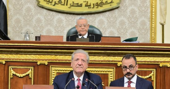 نواب: البنك الدولى والمعهد الوطنى الفرنسى أكدا أن مصر لم تعجز عن سداد ديونها يوما