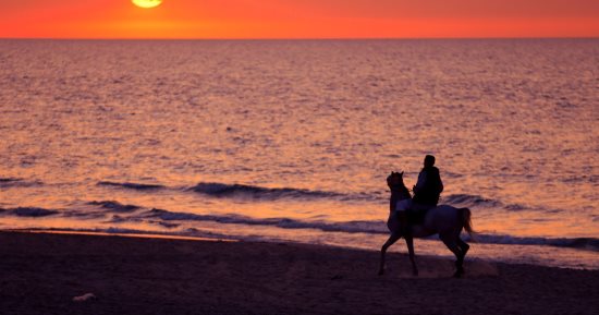 استمتع بجمال شاطئ العريش الساحر على ساحل البحر المتوسط فى شمال سيناء.. صور