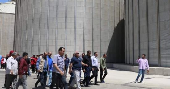 نجاح تجارب زراعة القمح بنظام الرى المطرى بالوادى الجديد وتحقيق إنتاجية 22 إردبا للفدان.. المحافظ يوجه بدعم تجارب الزراعة البحثية للقمح لزيادة إنتاجية المحصول بالتعاون مع منظمة الفاو وفقا لأحدث تقنيات الزراعة
