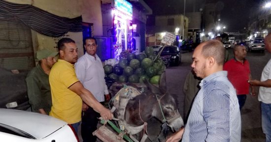 مدينة الأقصر تنظم حملة لرفع الإشغالات ومخالفات الكراسي والمظلات وعربات الحنطور