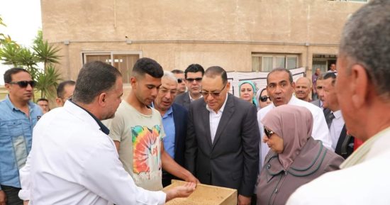 تموين الشرقية: توريد 395 ألف طن من الذهب الأصفر للصوامع والشون