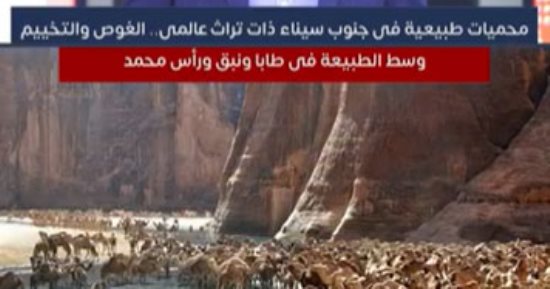 محميات طبيعية فى جنوب سيناء ذات تراث عالمى.. الغوص والتخييم وسط الطبيعة