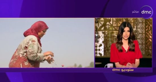  ثروت الزيني: تراجع أسعار الدواجن 7% والبيض 12%
