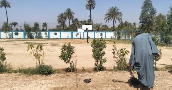 استمرار فعاليات مبادرة 100 مليون شجرة وزراعة 355 خلال حملة تشجير بأسيوط  