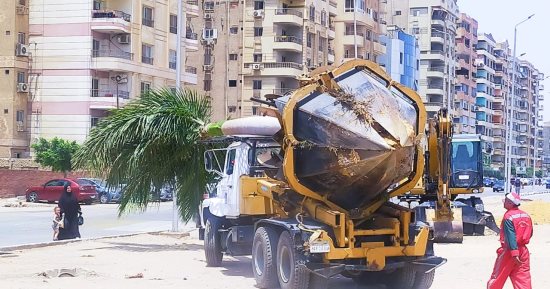 نظافة القاهرة تنقل "نخل ملوكى" من محور الفسطاط لحديقة الواحة.. صور