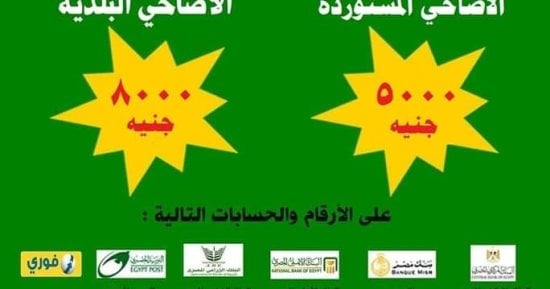 وزارة الأوقاف تعلن أسعارا جديدة لصكوك الأضاحى.. اعرف التفاصيل