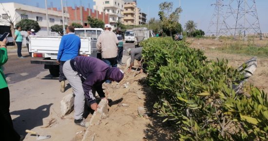انطلاق أعمال المرحلة الثانية للحملة المكبرة للنظافة والتشجير بجمصة.. صور