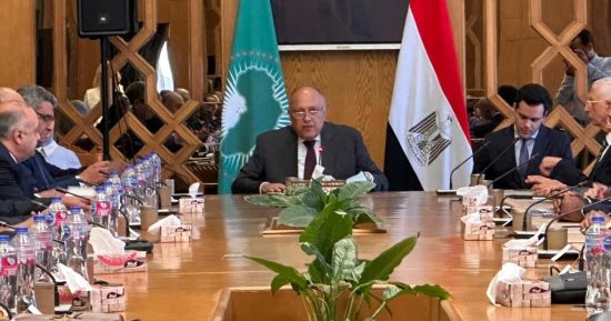 وزير الخارجية يلتقى السفراء الأفارقة بمناسبة يوم أفريقيا.. صور
