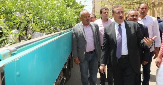 وصول 7 آلاف شجرة لزيادة المساحات الخضراء فى المنوفية