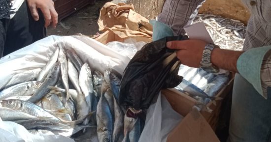 محافظ الدقهلية يحيل 65 محضر مخالفات تموينية للنيابة