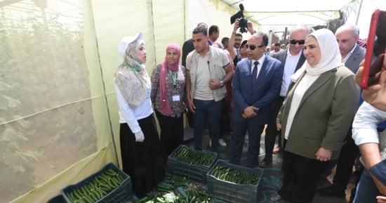 وزيرة التضامن تتفقد الصوب الزراعية بالمنيا ضمن مشروع تمكين المرأة الريفية