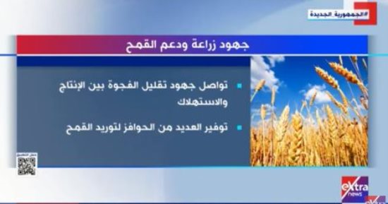 "إكسترا نيوز" تعرض تقريرا حول جهود الدولة فى زراعة ودعم القمح