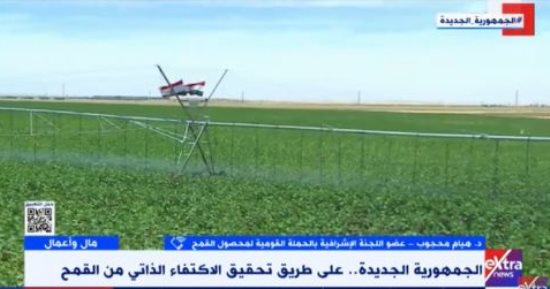 هيام محجوب: الدولة تعمل على زيادة نسبة الاكتفاء الذاتى من القمح عاما بعد عام
