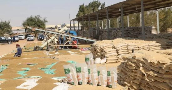 اعتماد مصنع تدوير المخلفات الزراعية بالوادى الجديد من المعمل المركزى للزراعة
