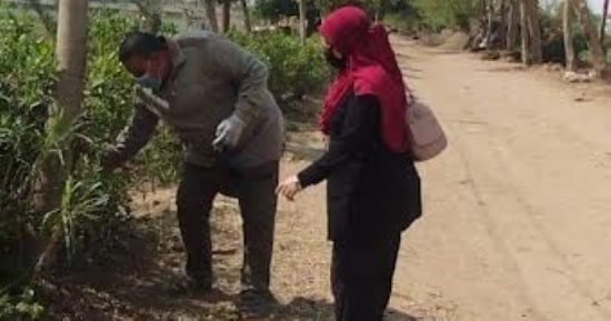 زراعة الشرقية تطلق الحملة القومية لمكافحة القوارض استعدادا للموسم الصيفى