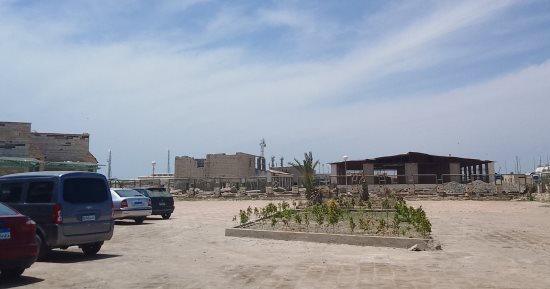 محمية أشتوم الجميل بنك للتنوع البيولوجى والجينات الوراثية.. اعرف التفاصيل