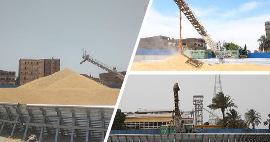 وزارة التموين توجه بتيسير إجراءات توريد القمح المحلى من المزارعين