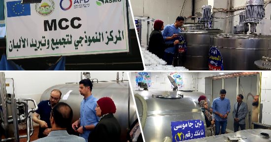 من أجل كوب لبن آمن.. محافظة القليوبية تواصل العمل بالمبادرة الرئاسية لتطوير مراكز تجميع الألبان.. 9 مراكز مدرجة بالمحافظة ضمن المبادرة.. بينها 7 مرخصة و4 حصلت على الجودة.. والمحافظة: جار العمل على مضاعفة العدد
