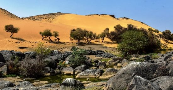 رئيس غرفة شركات السياحة يكشف لـ"اليوم السابع" تفاصيل ترشيح أسوان عاصمة السياحة العربية.. "خيرى": لدينا كل المقومات لنيل اللقب.. عاصمة أفريقيا تخطف قلوب العالم.. ويؤكد: أسوان كاملة العدد بعد نهاية الموسم الشتوى