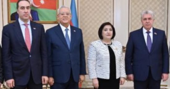 رئيس مجلس النواب يلتقى برئيسة برلمان أذربيجان.. صور
