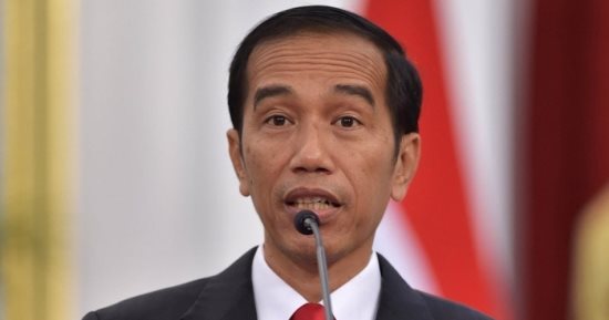 الرئيس الإندونيسى يبحث جهود الانضمام لمنظمة التعاون والتنمية الاقتصادية