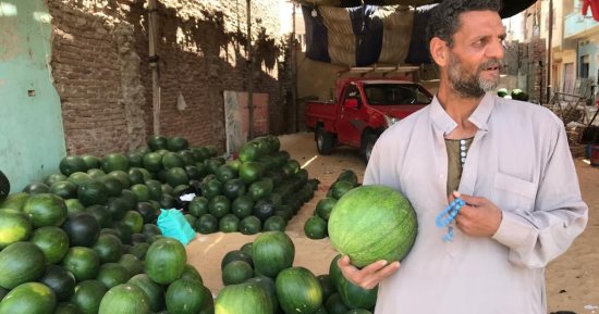 "حَمار وحلاوة" انتشار شوادر البطيخ بمراكز ومدن الغربية.. بائعون: الموسم شهد إقبالا كبيرا والبطيخ من الفواكه المحببة للمصريين.. ويؤكدون: الأسعار فى متناول الجميع وهذه أفضل الأنواع.. فيديو وصور