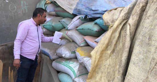 ضبط 14 طن قمح تقاوى زراعية منتهية الصلاحية داخل شونة بالمنوفية