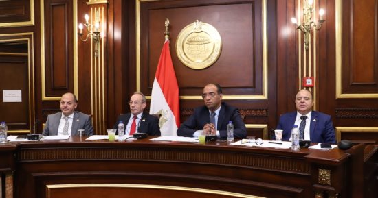 "صحة الشيوخ" توصى بإنشاء نقطة إسعاف نهرى لخدمة المجرى المائى