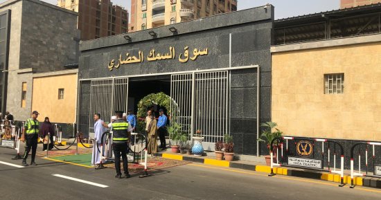 مصدر: توريد 4200 طن أسماك يوميا للسوق الحضارى بالمنيب