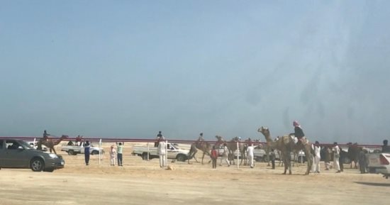 هجانة من كل المحافظات ينظمون سباقا تنشيطيا للهجن فى العريش.. صور