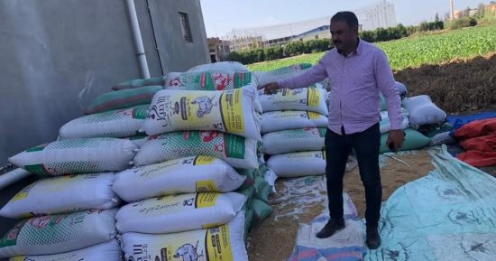 ضبط 706 أطنان قمح تم بيعها بالمخالفة لاستخدامها فى غير أغراضه بالدقهلية