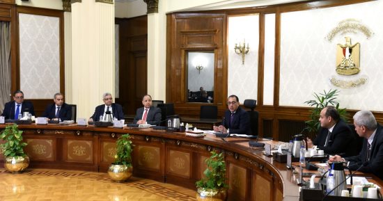 رئيس الوزراء يناقش إجراءات دعم وتحفيز صناعة الدواء