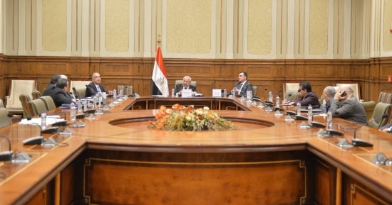 الزراعة: خطة للاستفادة من القطن بتطوير الصناعة وتفعيل نظام الزراعات التعاقدية