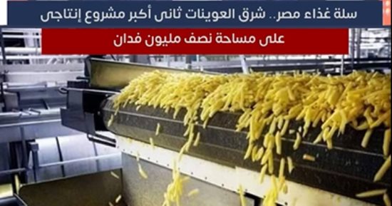 سلة غذاء مصر.. شرق العوينات ثانى أكبر مشروع إنتاجى على مساحة نصف مليون فدان