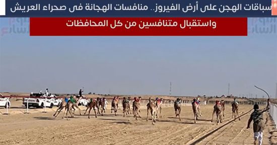 سباقات الهجن فى صحراء العريش واستقبال متنافسين من كل المحافظات