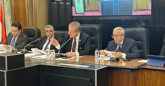 وزارة الزراعة تكشف خلال اجتماع بـ"خطة النواب": نبيع كيلو اللحم البلدى بـ225 جنيها.. ومصر تمتلك 7.5 مليون ماشية.. موازنة الوزارة 23/24 تبلغ 12.7 مليار جنيه.. وحققنا طفرة فى صادراتنا الزراعية وصلت لـ6.5 مليون طن