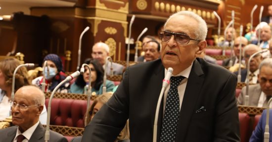 "شكرا معالى الوزير".. رئيس مجلس الشيوخ يمازح أبو شقة خلال الجلسة العامة