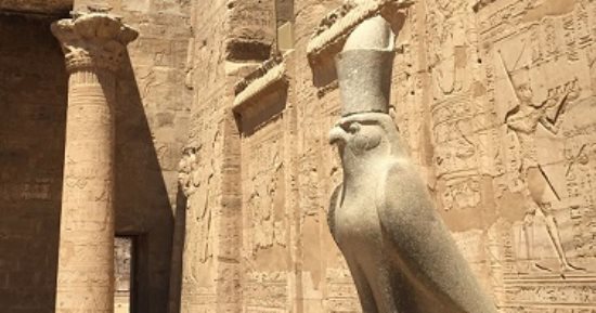 اعرف معنى رموز الطيور فى الحضارة المصرية القديمة.. من العصفورة للنسر والبومة