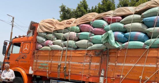 ضبط 4 سيارات محملة بـ83 طنا من محصول القمح بهدف الاحتكار بالمنيا ومغاغة