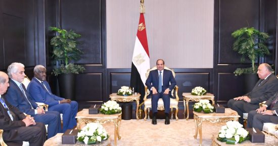 الرئيس السيسى يلتقى موسى فقيه رئيس مفوضية الاتحاد الأفريقى