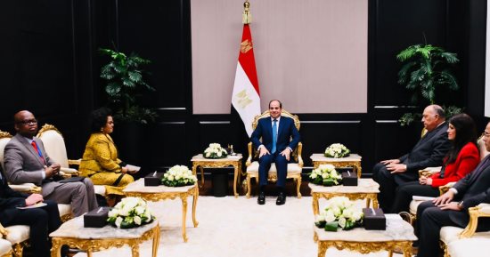 الرئيس السيسي يلتقى المديرة التنفيذية لوكالة الاتحاد الأفريقى للتنمية "نيباد"