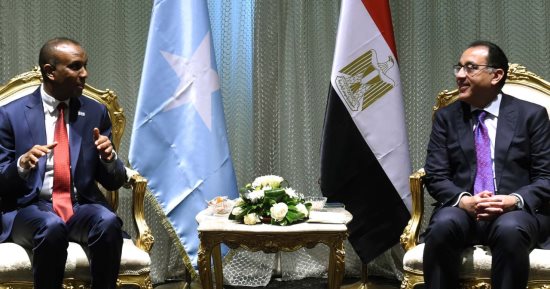 مصطفى مدبولى يلتقى رئيس وزراء جمهورية الصومال الفيدرالية .. صور