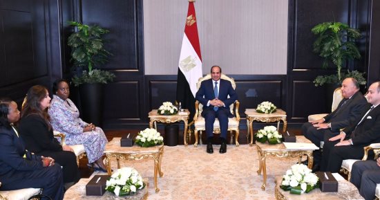 الرئيس السيسي يلتقى سكرتير عام منظمة الكوميسا