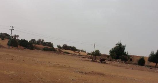 أمطار رعدية تضرب عدة مناطق جنوب الوادى الجديد.. صور 