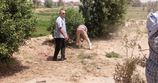 حملات نظافة مكبرة وتشجير وصيانة الإنارة بعدد من طرق وقرى سنورس