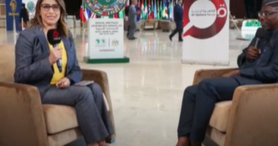 خبير تحول رقمى: من الضروري حشد التمويل اللازم لمشروعات الطاقة المتجددة فى أفريقيا