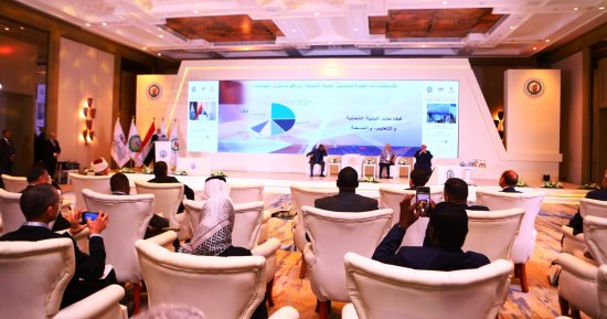جامعة الدول العربية: نسعى إلى تحقيق المصلحة الفضلى للمواطن العربى